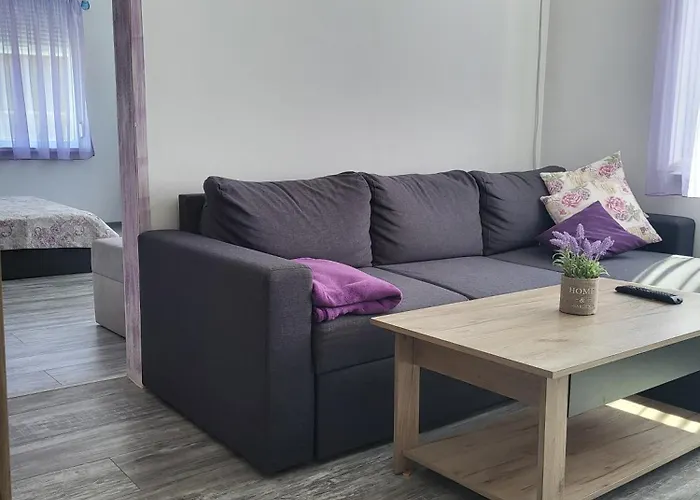 Purple Studios