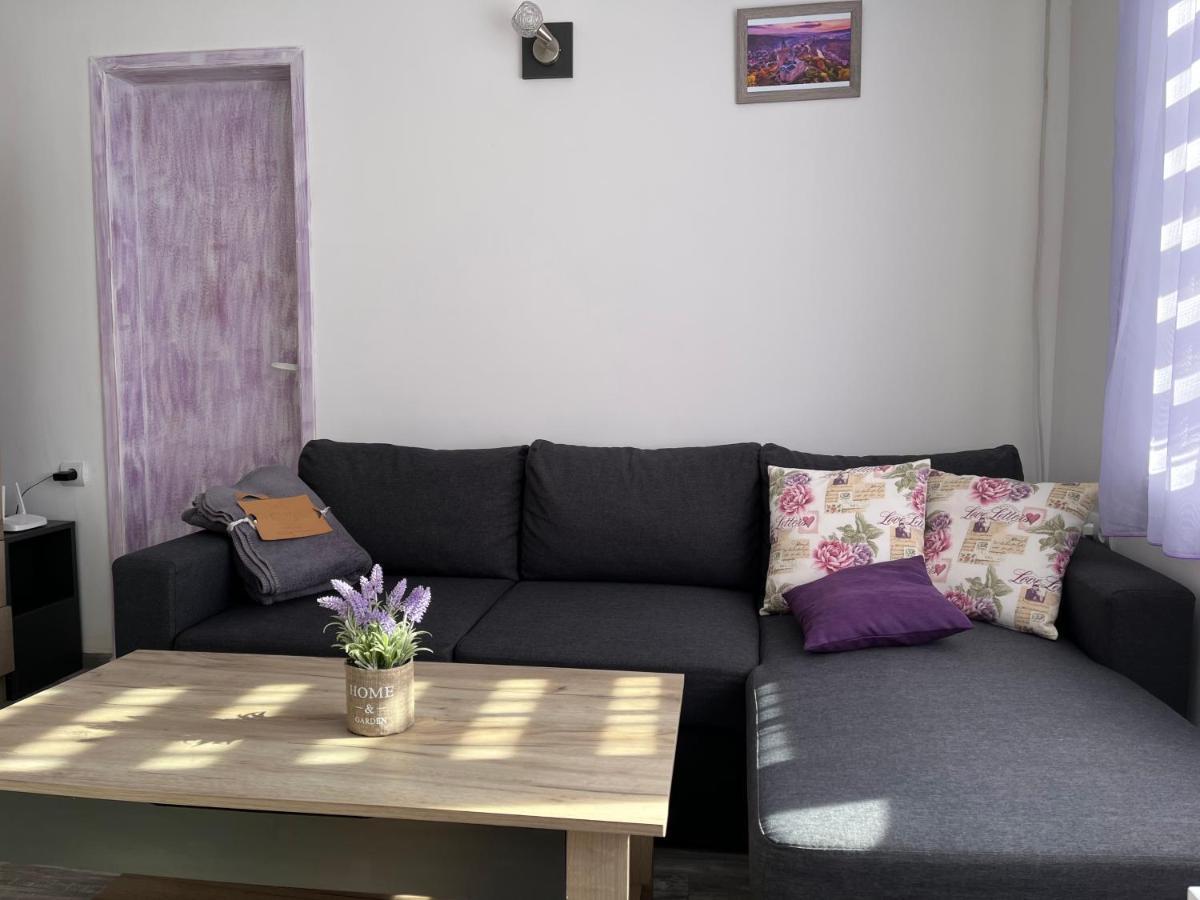 Apartment Purple *
