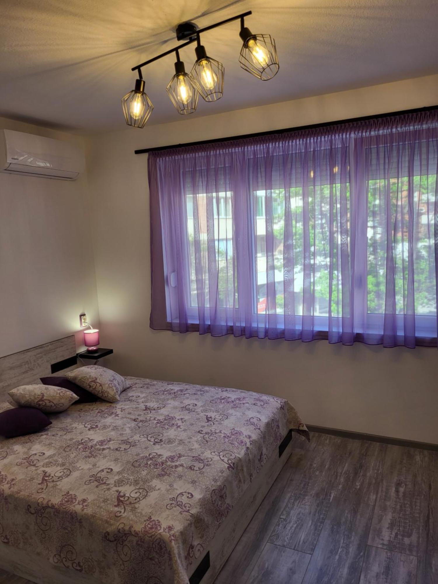Apartment Purple